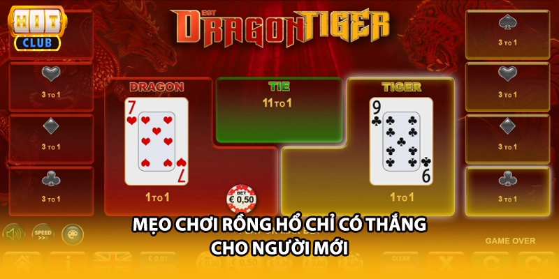 Mẹo chơi rồng hổ chỉ có thắng cho người mới